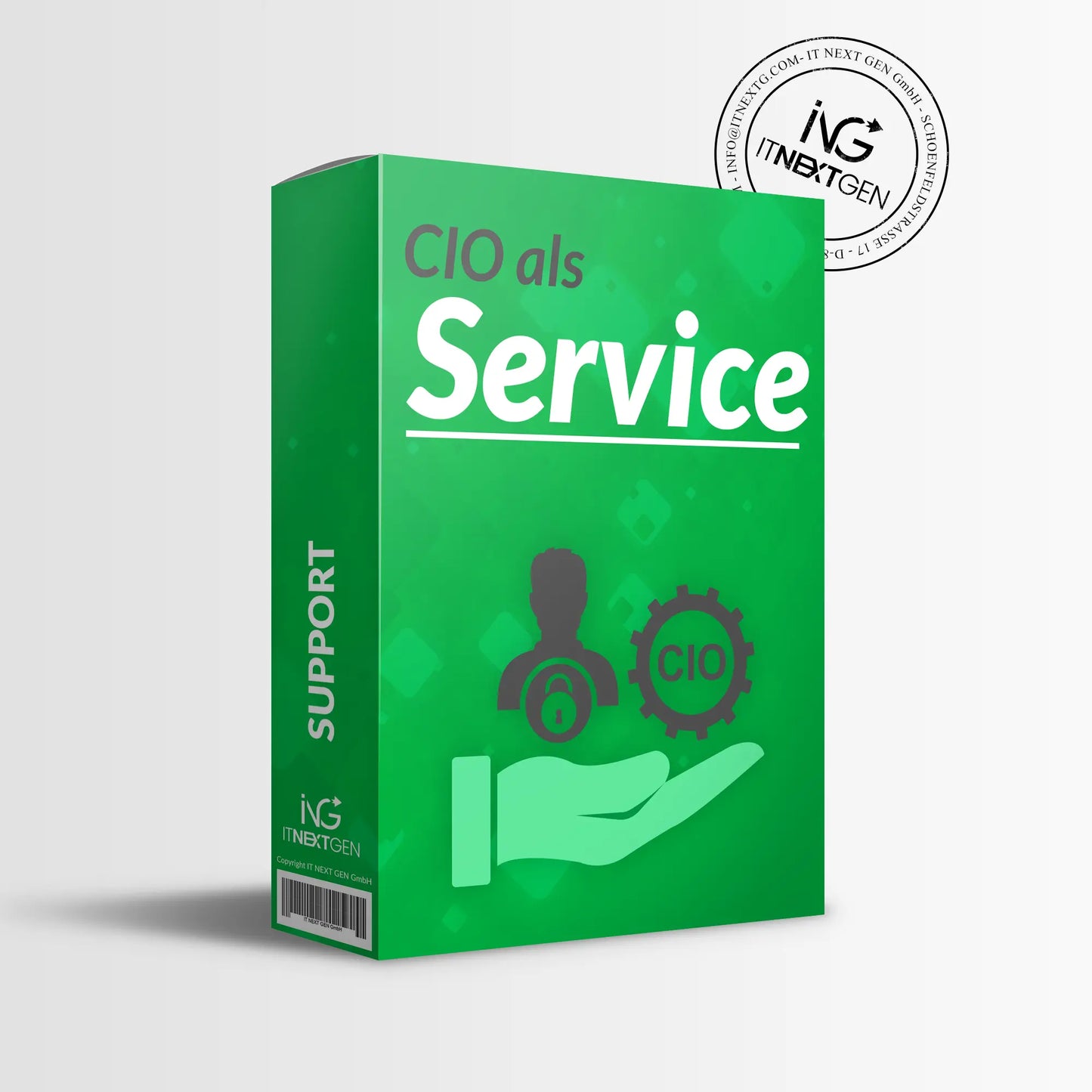 
                  
                    CIO als Service
                  
                